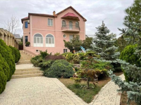 Friendly and Comfortable House on COP29